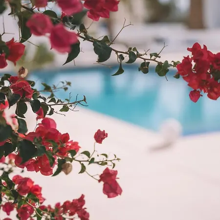Luxury Mauresque Experience * Torremolinos